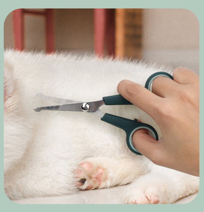 8-in-1 Pet Grooming Kit, Portable Dog Cat Grooming Supplies, Storage Bag for Daily Care