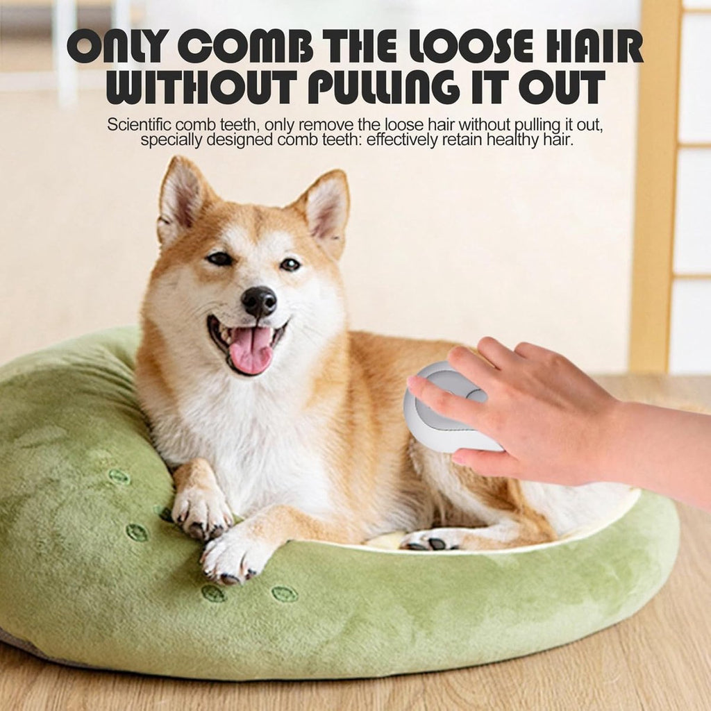 3-in-1 Steam Grooming Brush for Dogs & Cats – USB Rechargeable