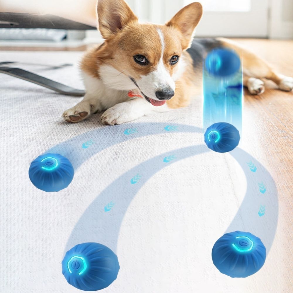 Motion-Activated Automatic Rolling Ball Toy for Dogs – USB Rechargeable, Blue & Orange