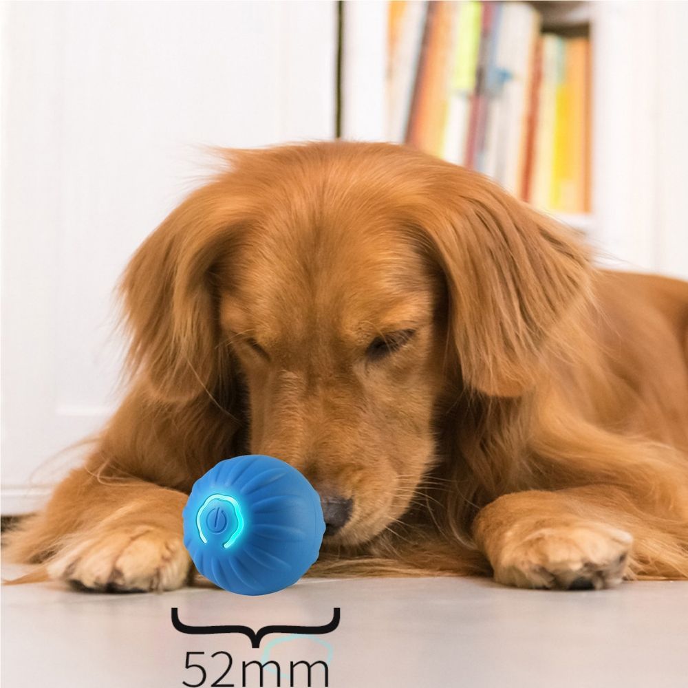 Motion-Activated Automatic Rolling Ball Toy for Dogs – USB Rechargeable, Blue & Orange